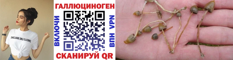 Псилоцибиновые грибы MAGIC MUSHROOMS закладка Моршанск